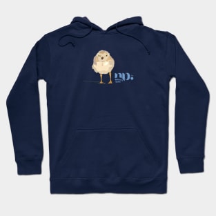 Piping Plover Hoodie